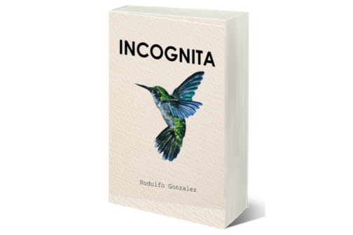 Incógnita